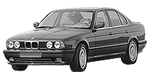 BMW E34 P1895 Fault Code
